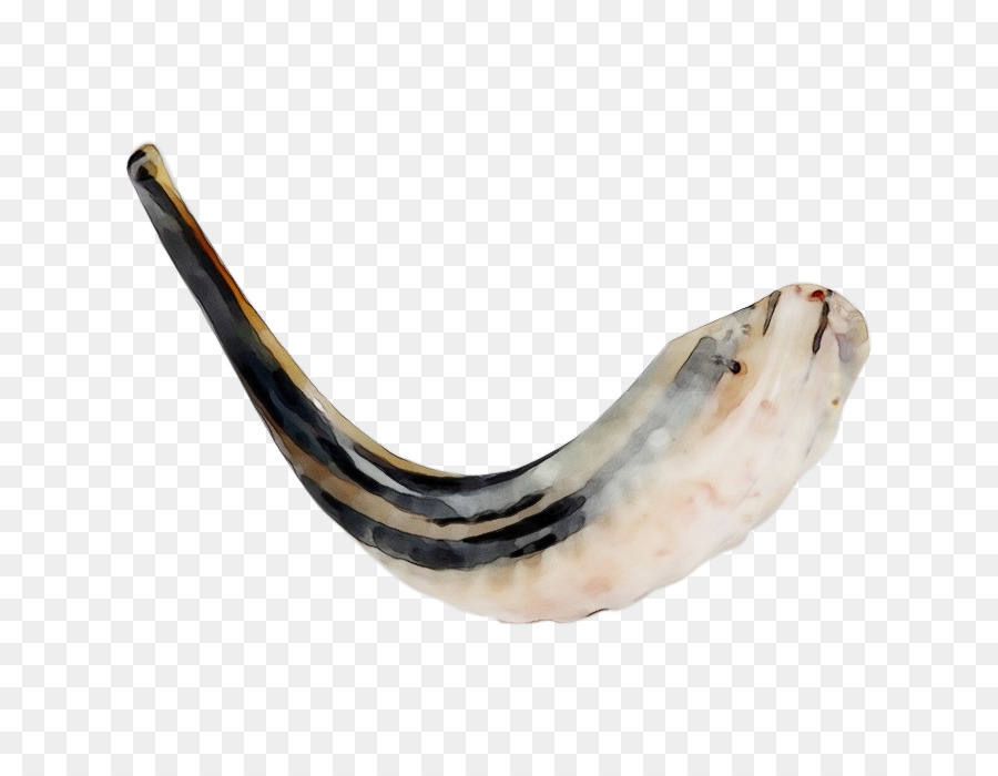 Shofar，Rosh Hashaná PNG