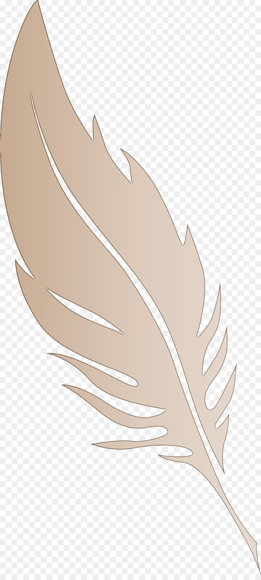 Pluma，Hoja PNG