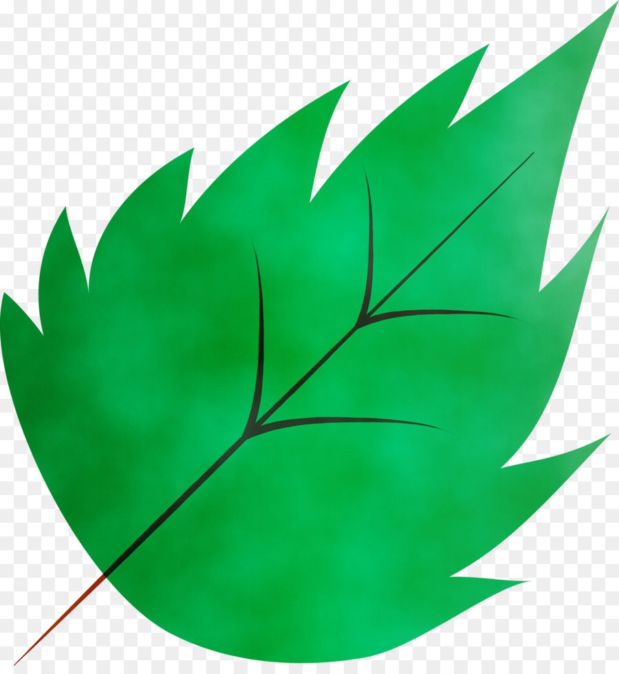 Hoja Azul，Naturaleza PNG