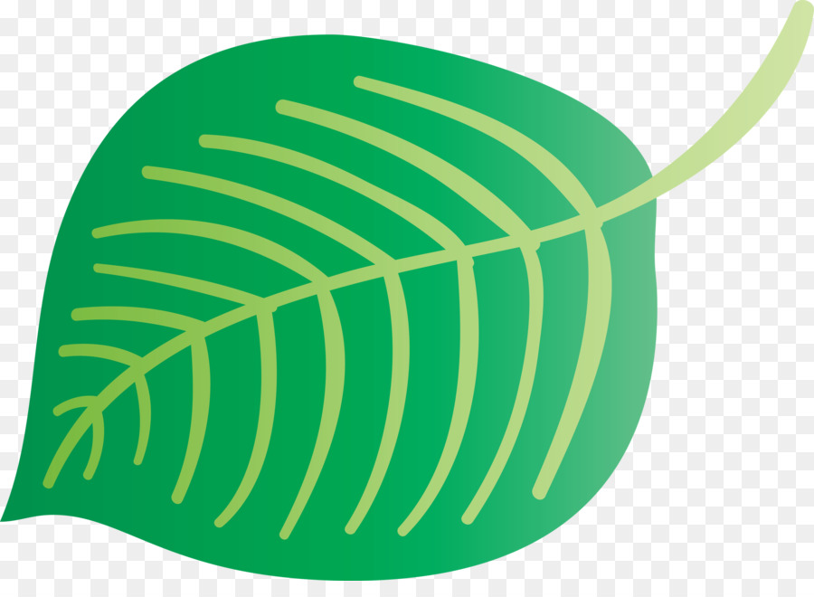 Hoja，Verde PNG