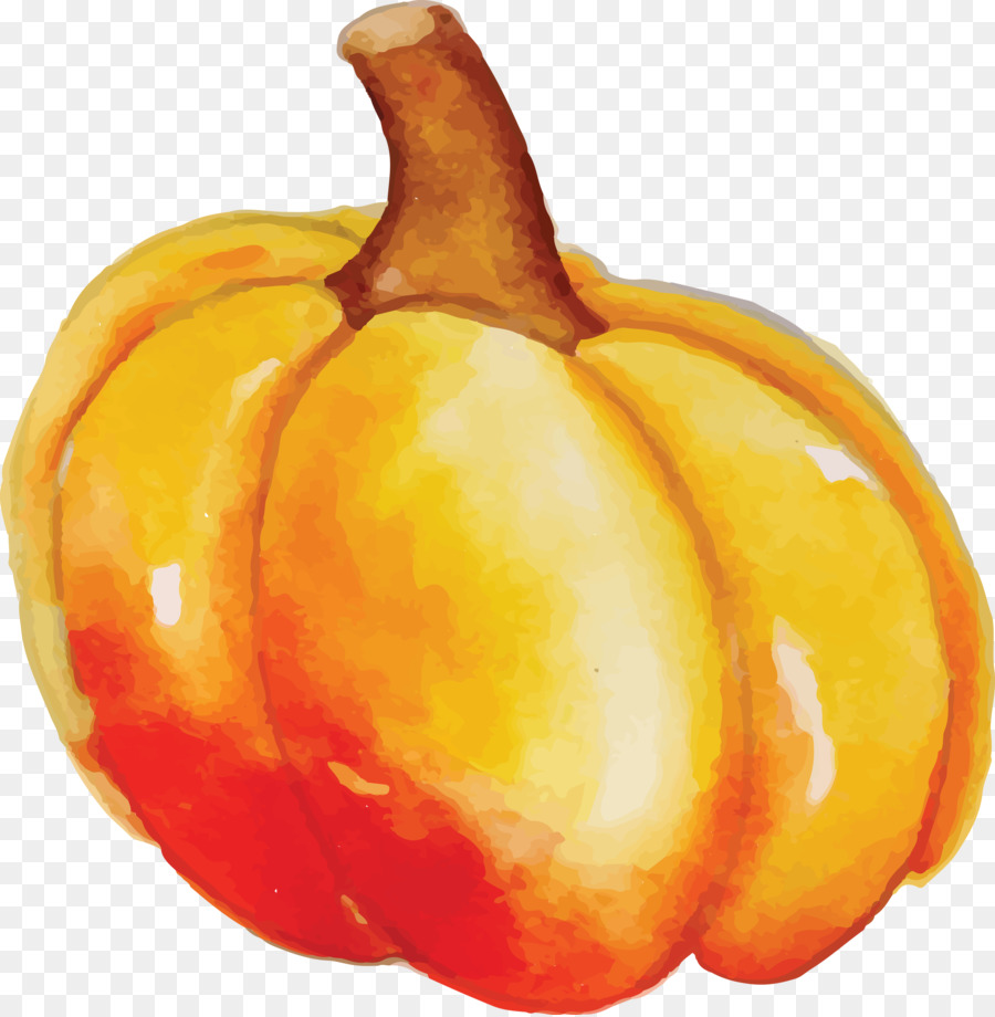 Calabaza，Calabaza De Invierno PNG