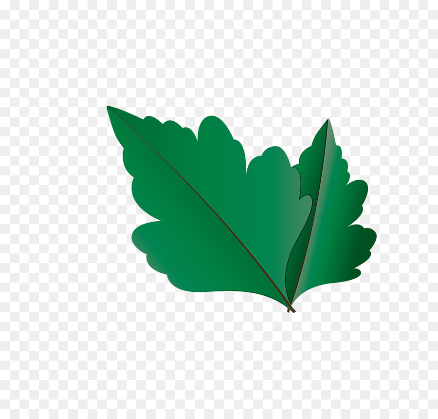 Hoja，Planta PNG