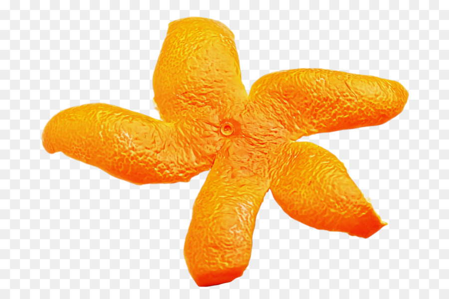 Orange Sa，Clementine PNG