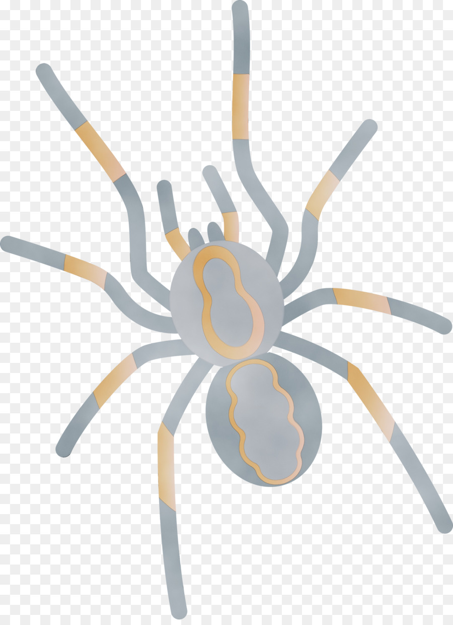 Araña，Piernas PNG