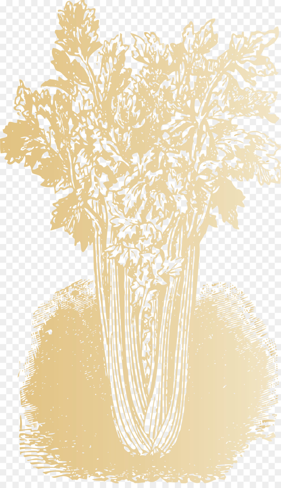 Diseño Floral，Medidor De PNG