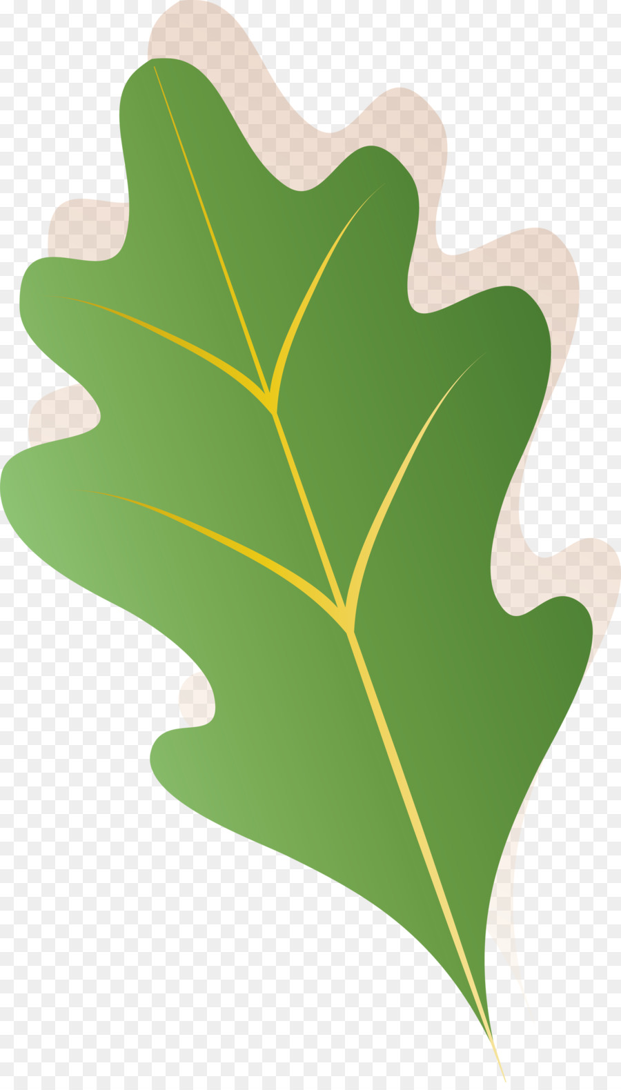 Hoja，Verde PNG