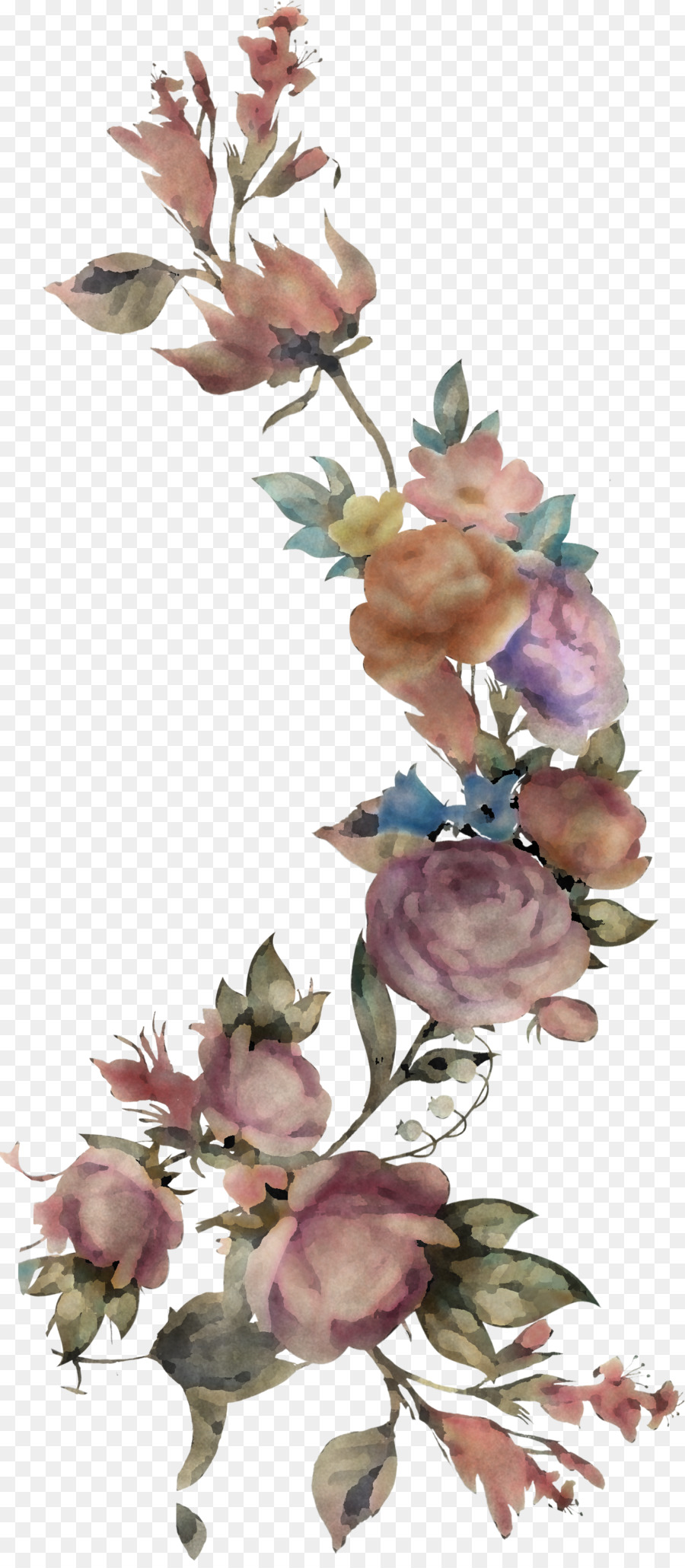 Flores，Ramo PNG