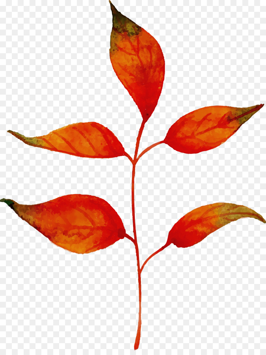 Hoja Roja，Otoño PNG