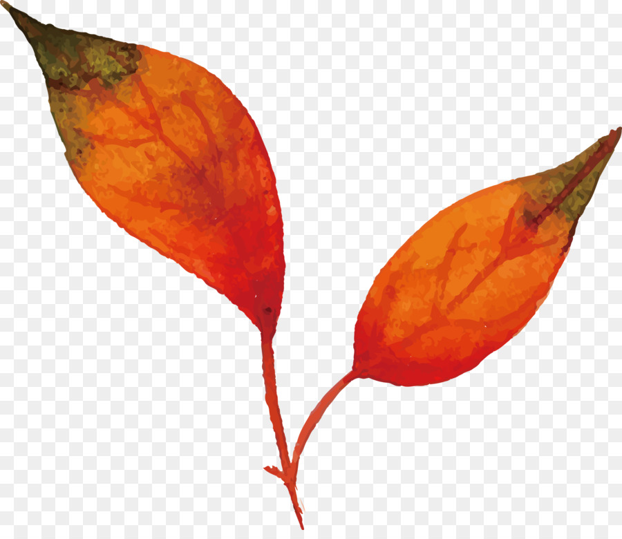 Hoja De Otoño，Caer PNG