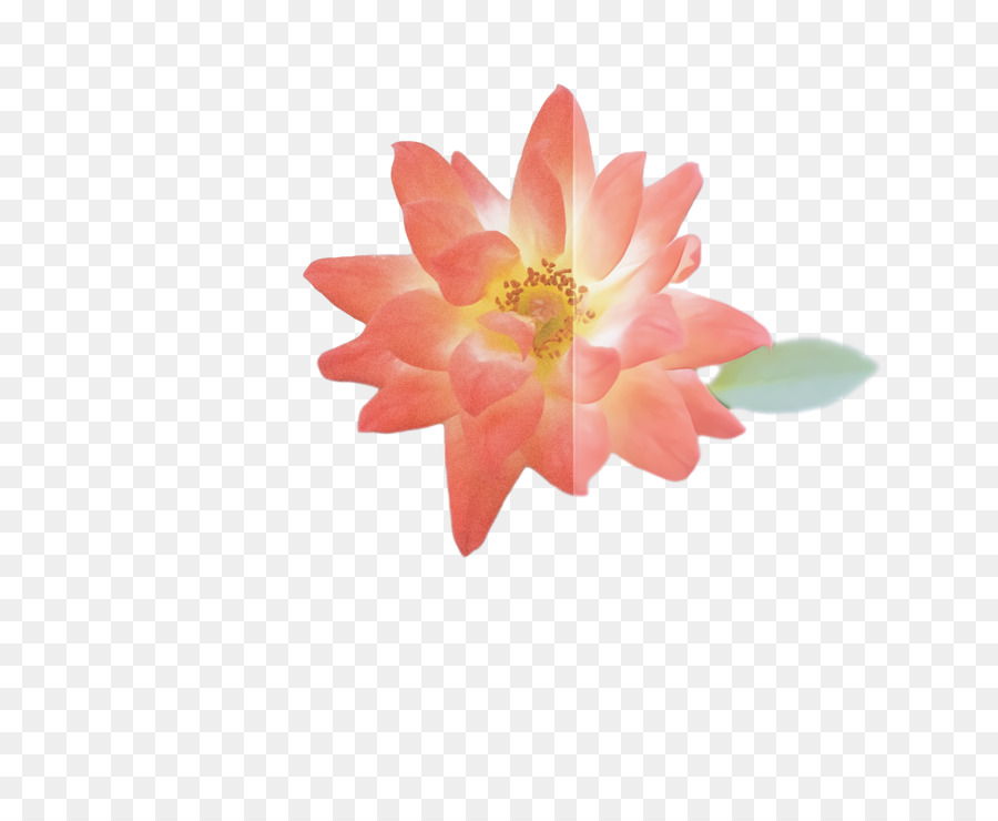 Flores Rosadas，Hojas PNG