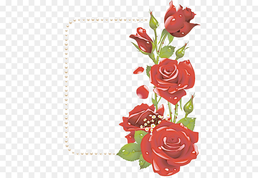 Rosa，Las Rosas De Jardín PNG