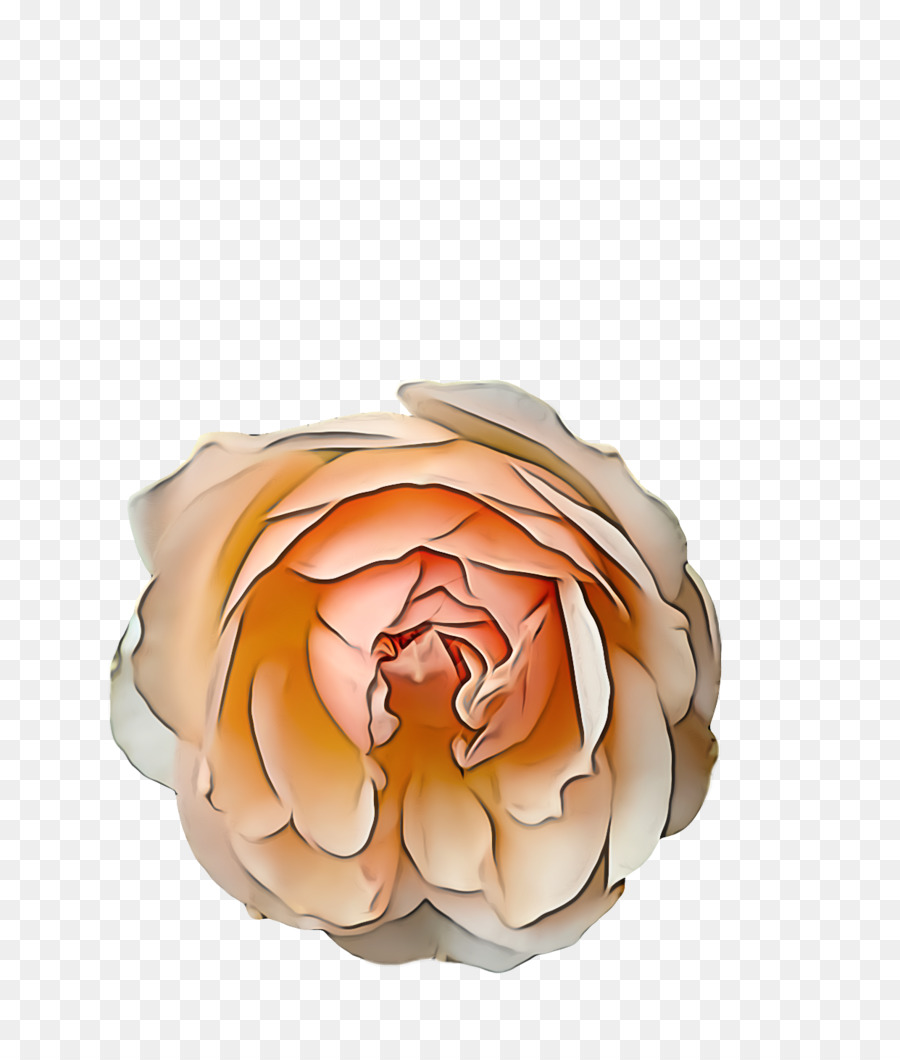 Las Rosas De Jardín，Diseño Floral PNG