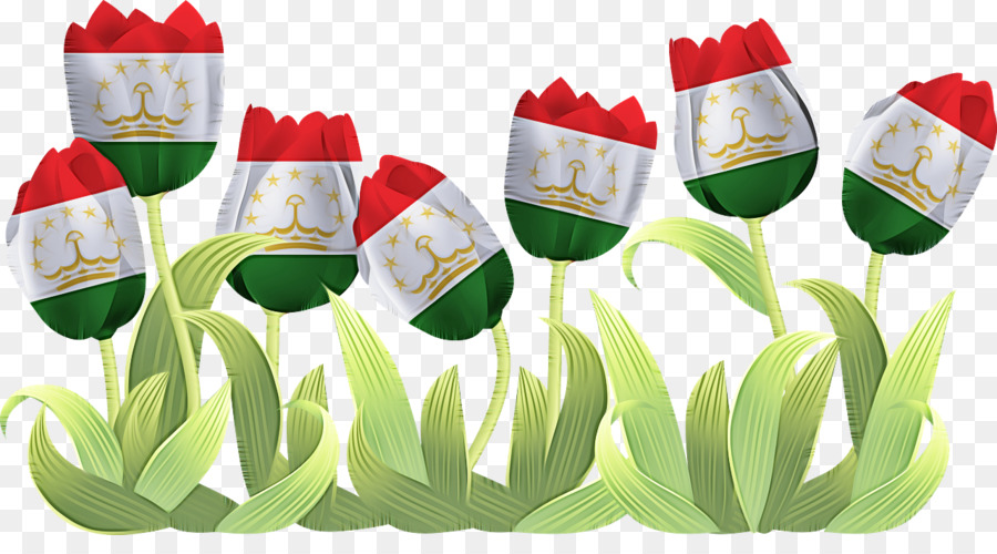 Flor，Tulip PNG