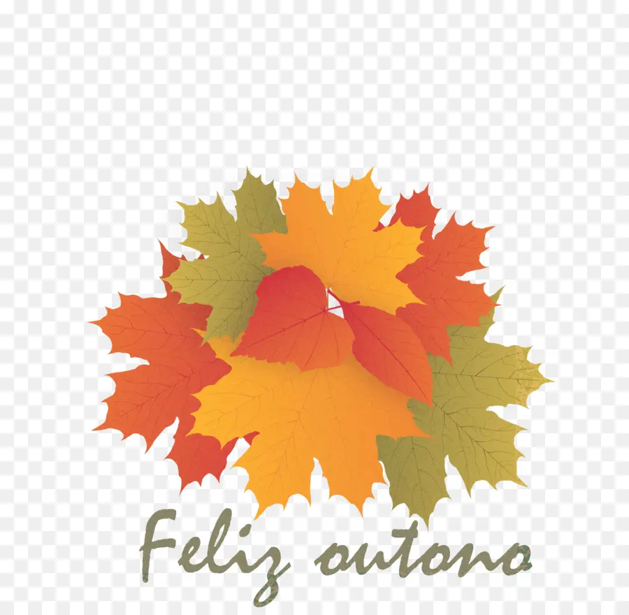 Hojas De Otoño，Caer PNG