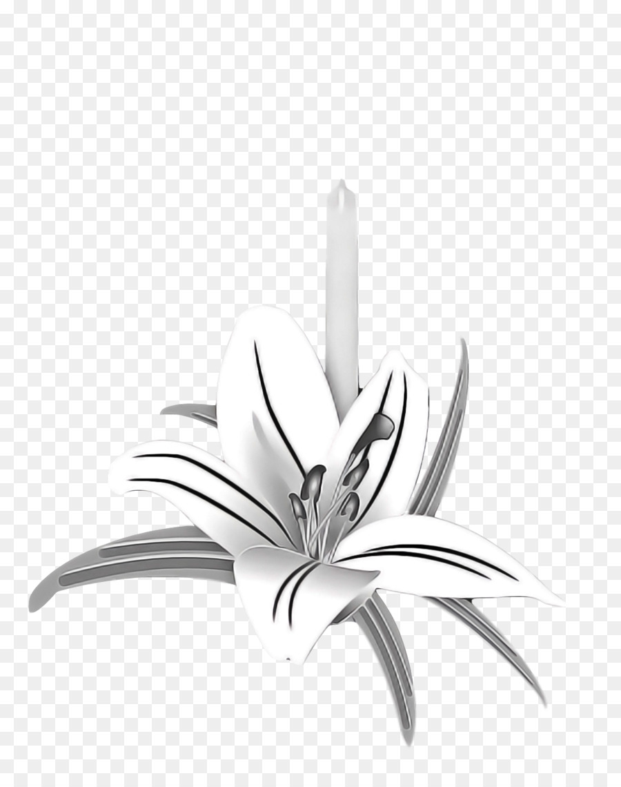 En Blanco Y Negro，Flor PNG