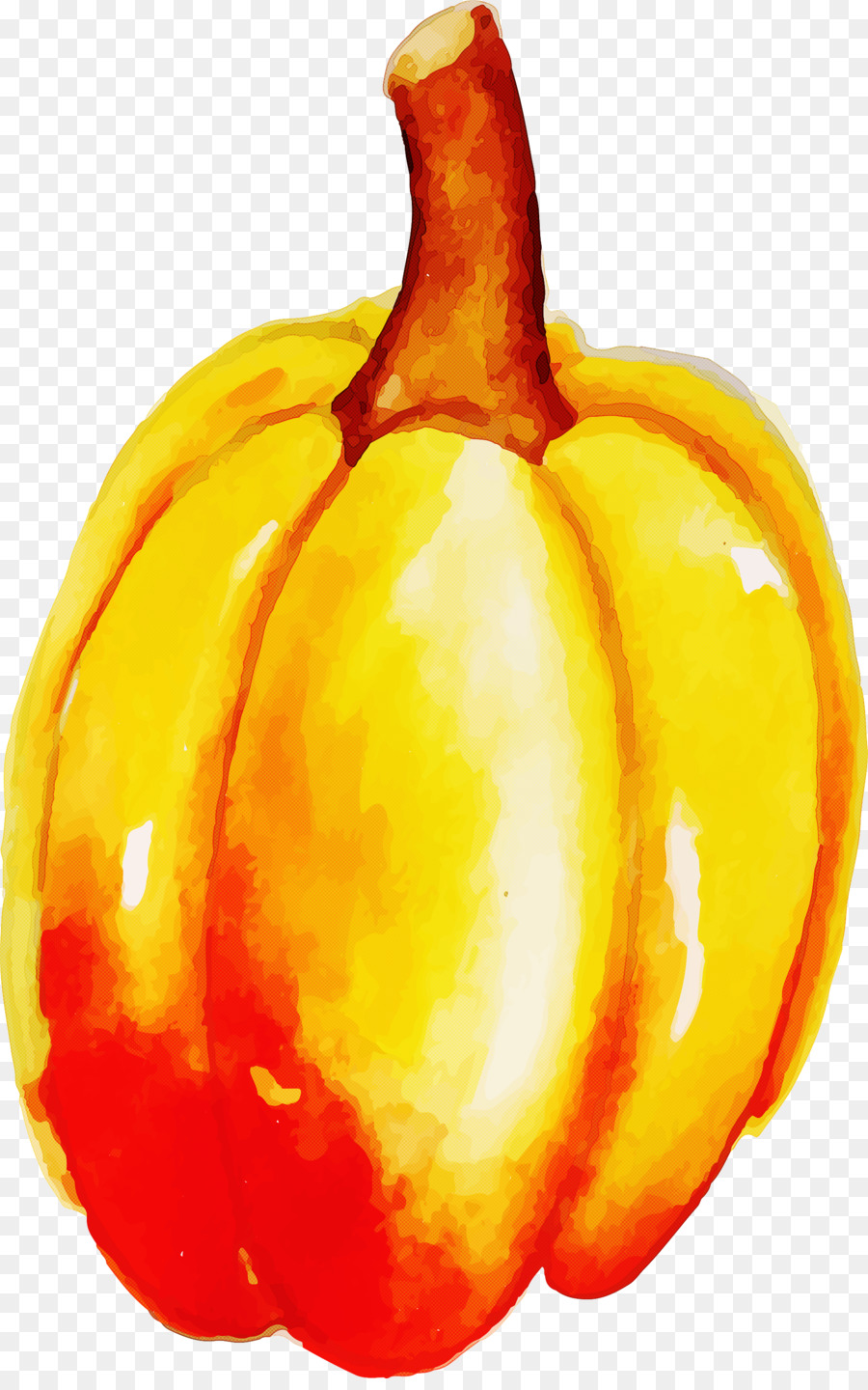 La Calabaza，Todavía Vida La Fotografía PNG