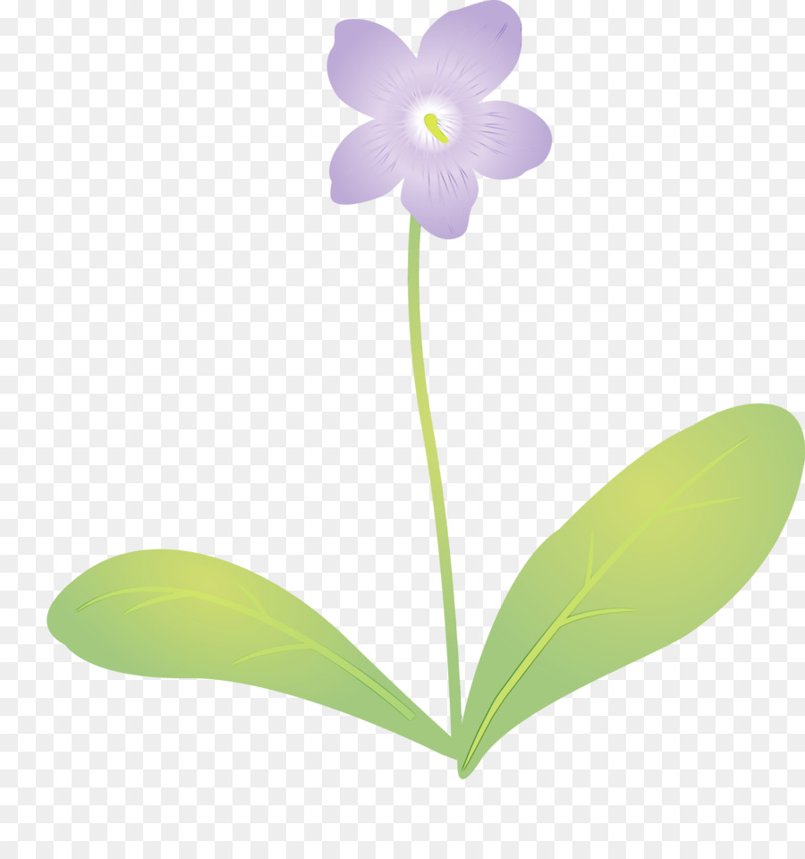 Tallo De La Planta，Flor PNG