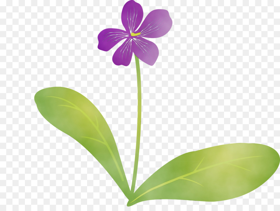 Tallo De La Planta，Flor PNG