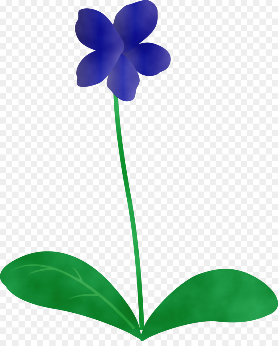 Tallo De La Planta，Flor PNG