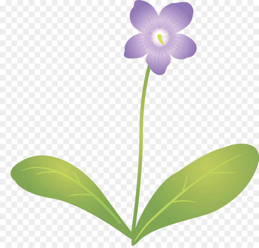 Flor，Tallo De La Planta PNG