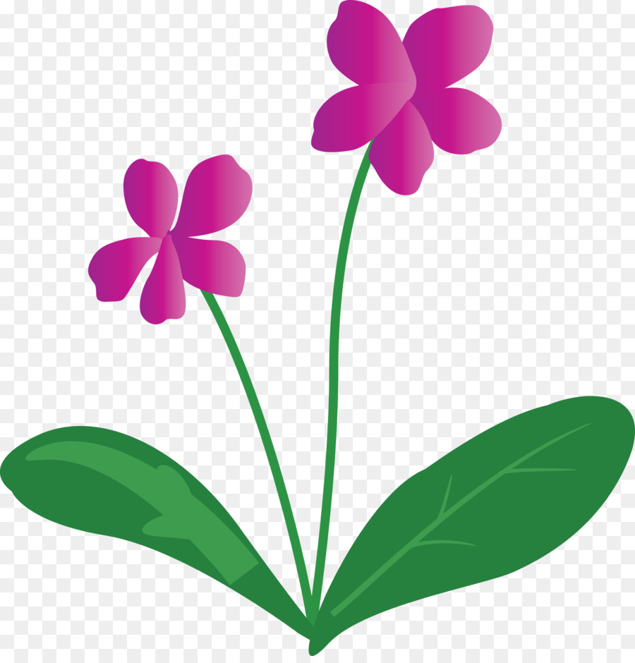 Flor，Púrpura PNG