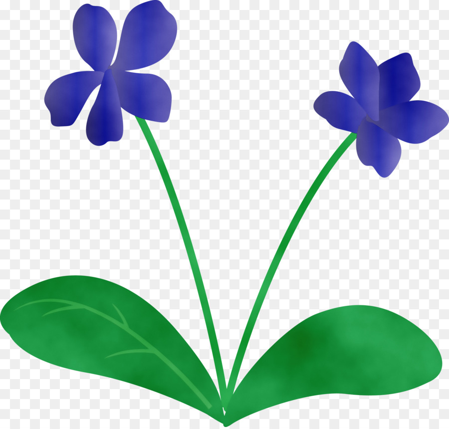 Flor，Planta PNG