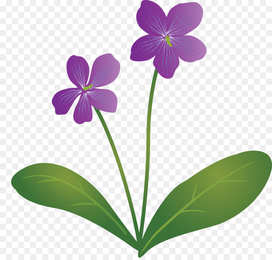 Flores Moradas，Hojas PNG