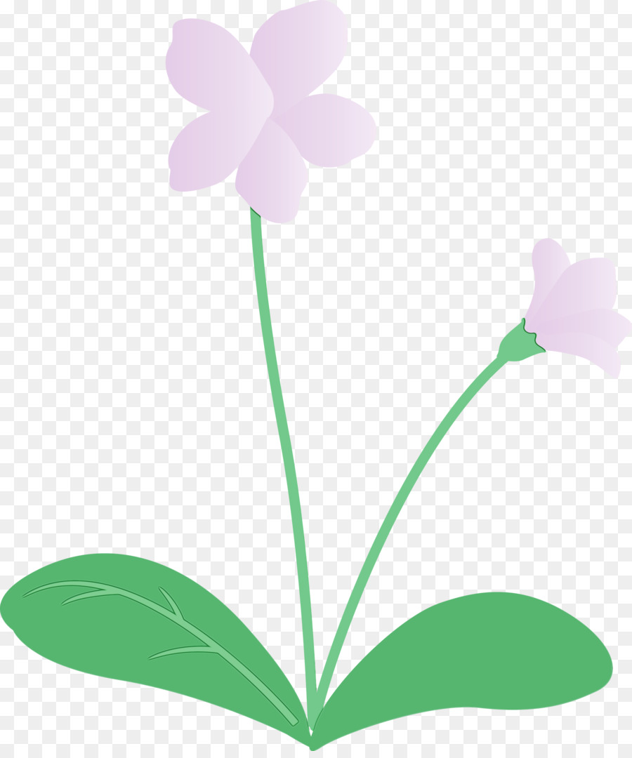 Tallo De La Planta，Flor PNG