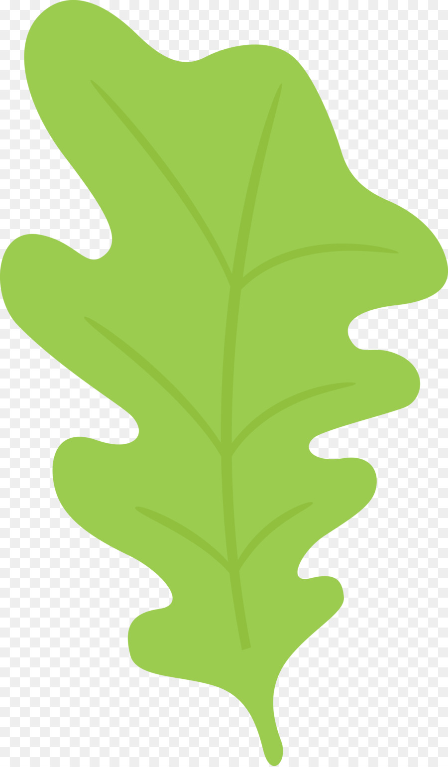 Hoja Verde，Planta PNG