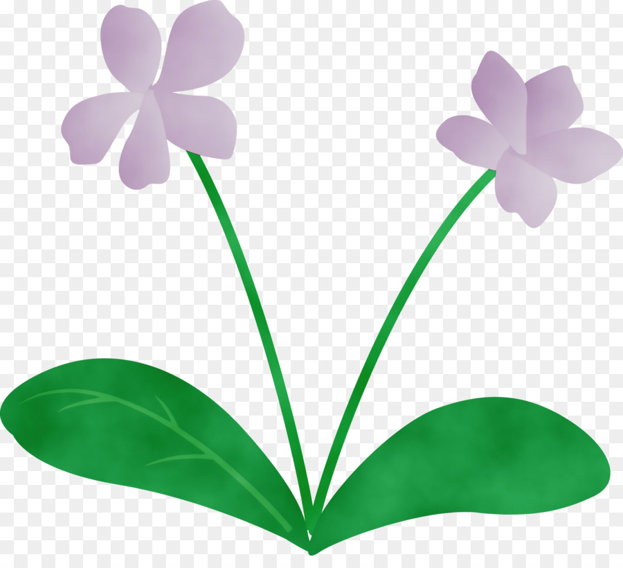 Tallo De La Planta，Flor PNG