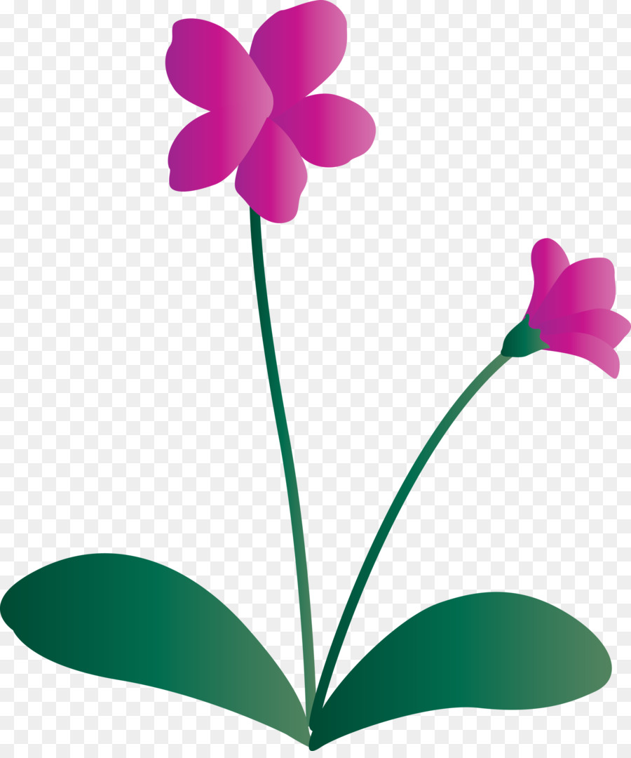 Flor，Vástago PNG