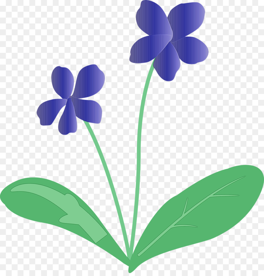 Tallo De La Planta，Flor PNG