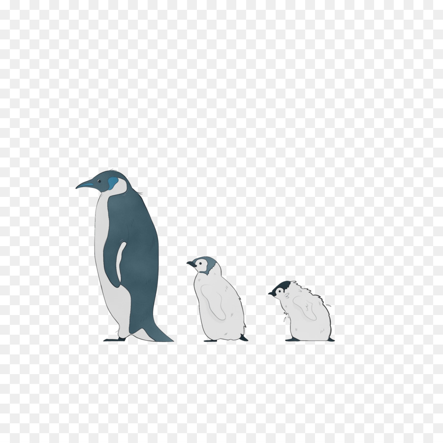 Los Pingüinos，Aves PNG