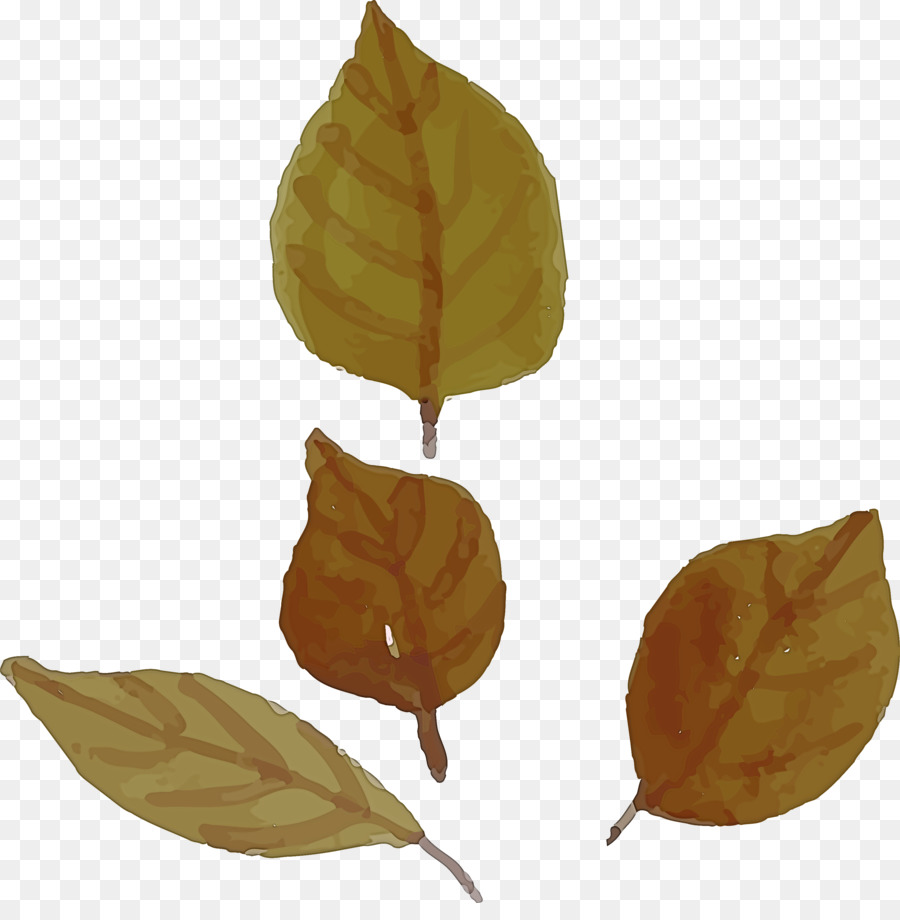 Hoja，La Fruta PNG