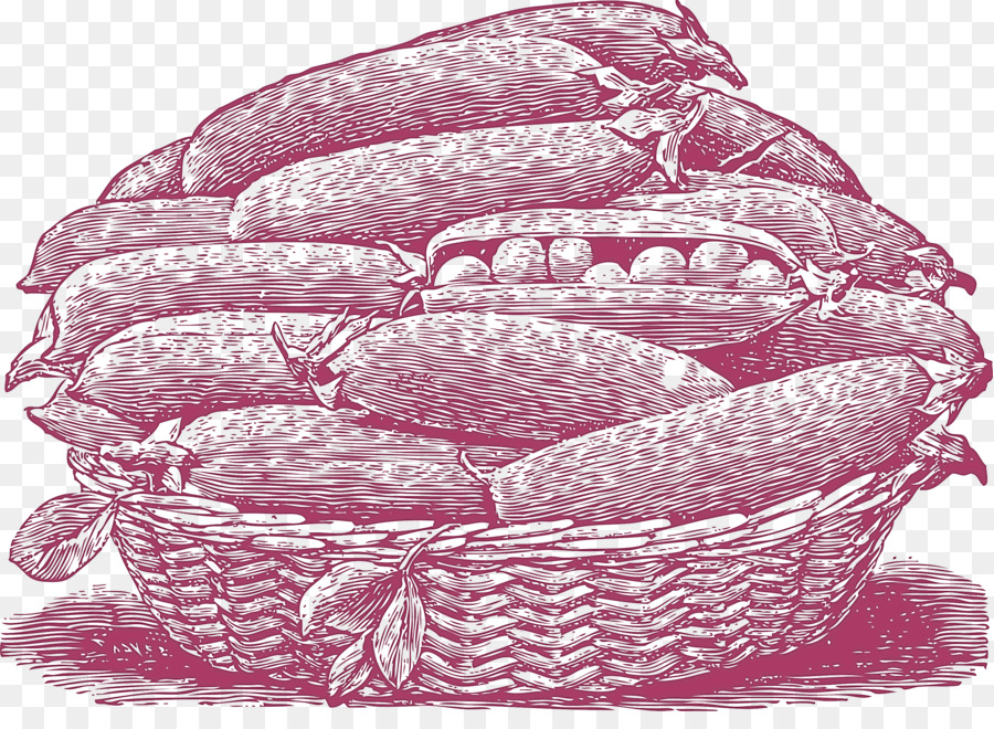 Vegetal，Cesta PNG