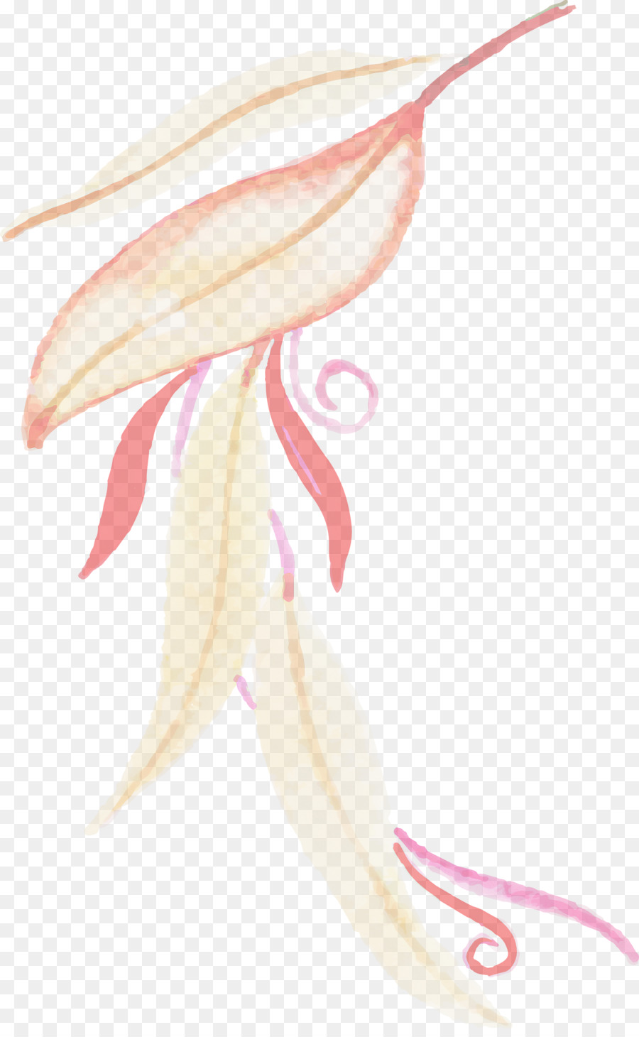 Flor，Dibujo PNG