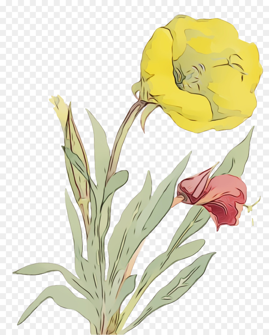 Tallo De La Planta，Diseño Floral PNG