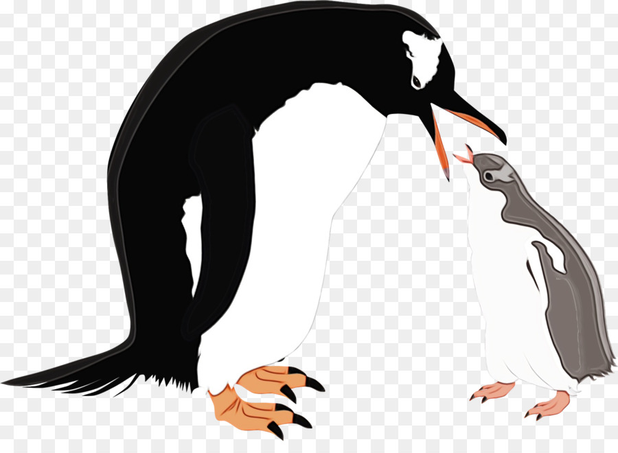 Los Pingüinos，Aves PNG