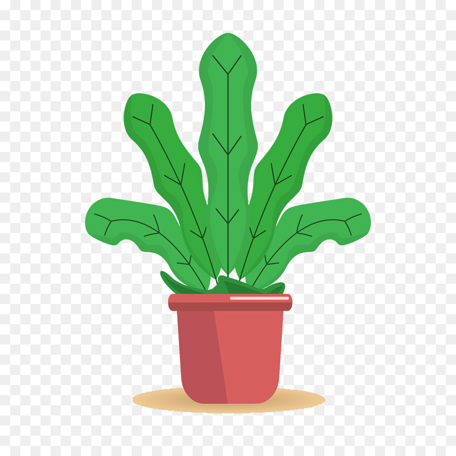 Cactus，Maceta PNG