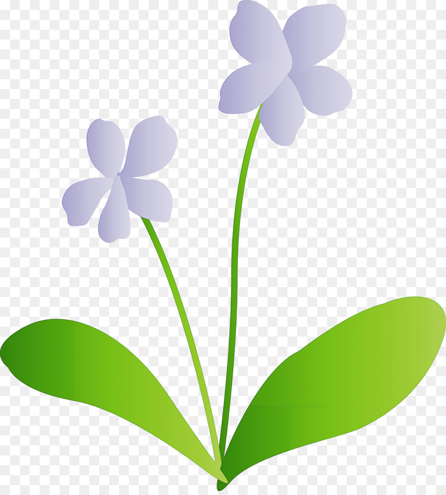 Flor，Planta PNG