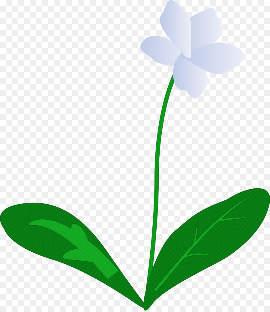 Flor，Florecer PNG