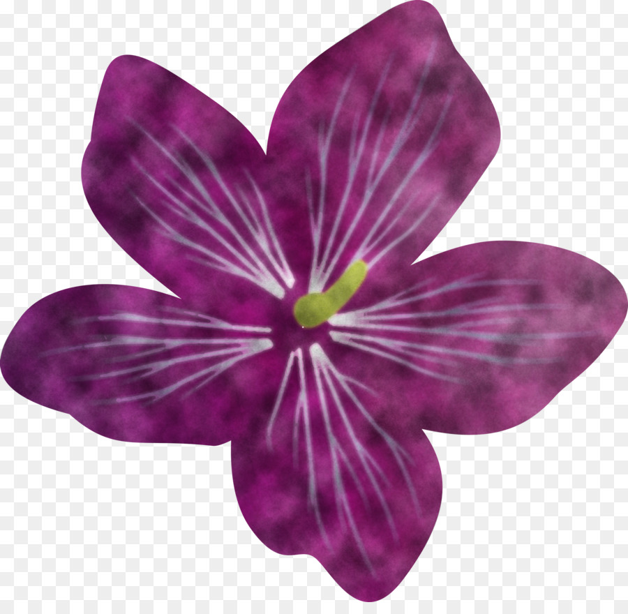 Flor Morada，Florecer PNG