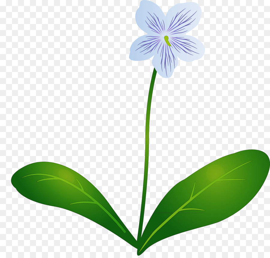 Flor，Florecer PNG