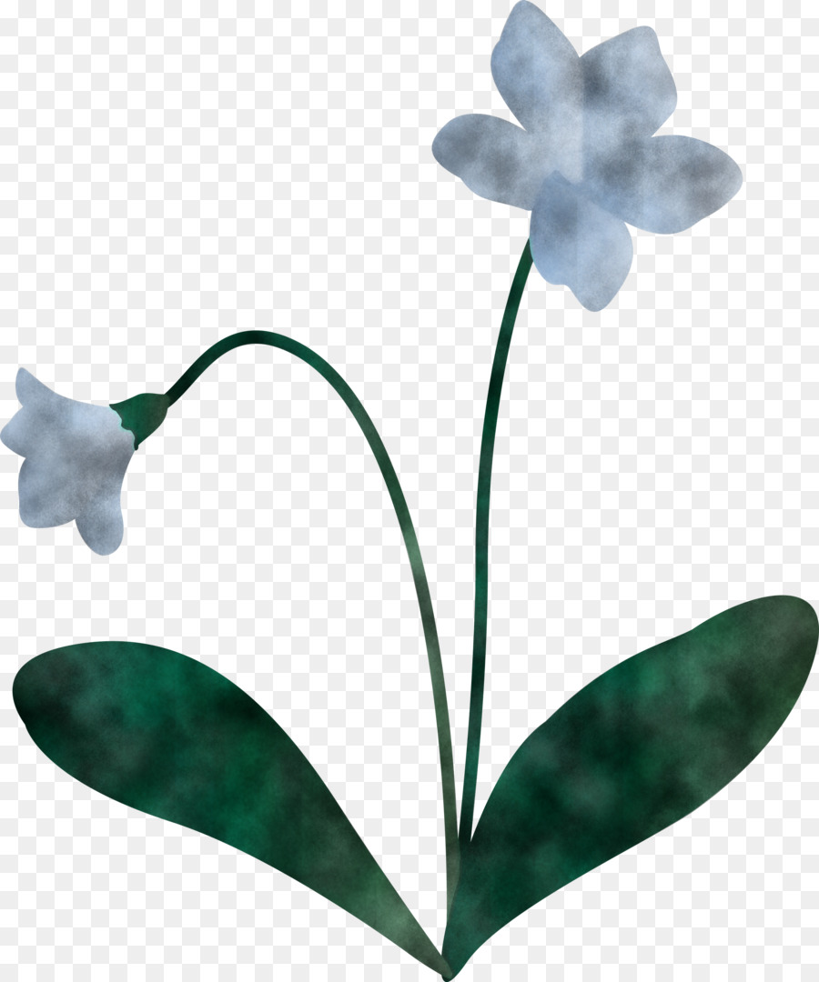 Flor，Tallo De La Planta PNG