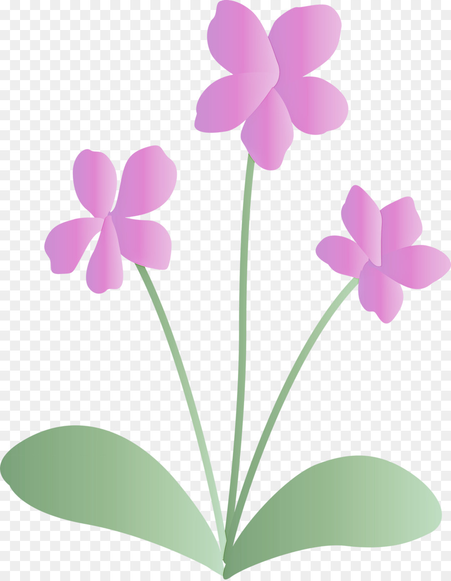 Flores Rosadas，Florecer PNG