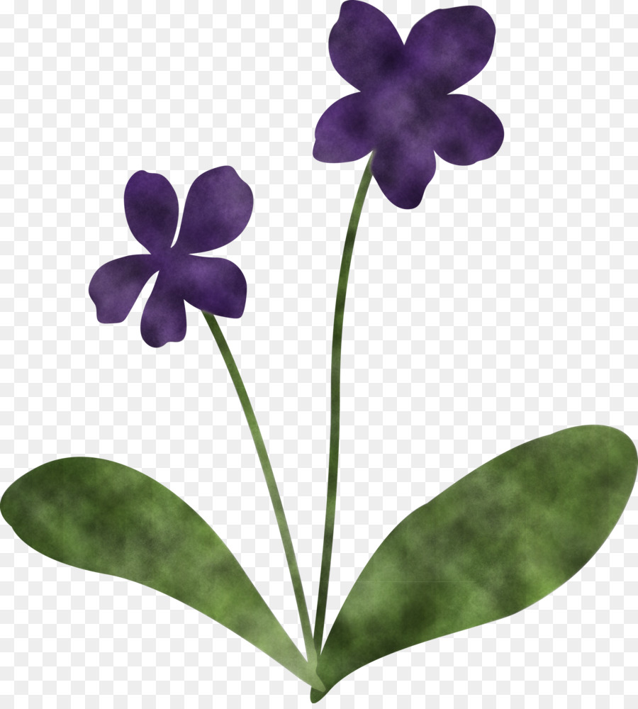 Violeta，Tallo De La Planta PNG