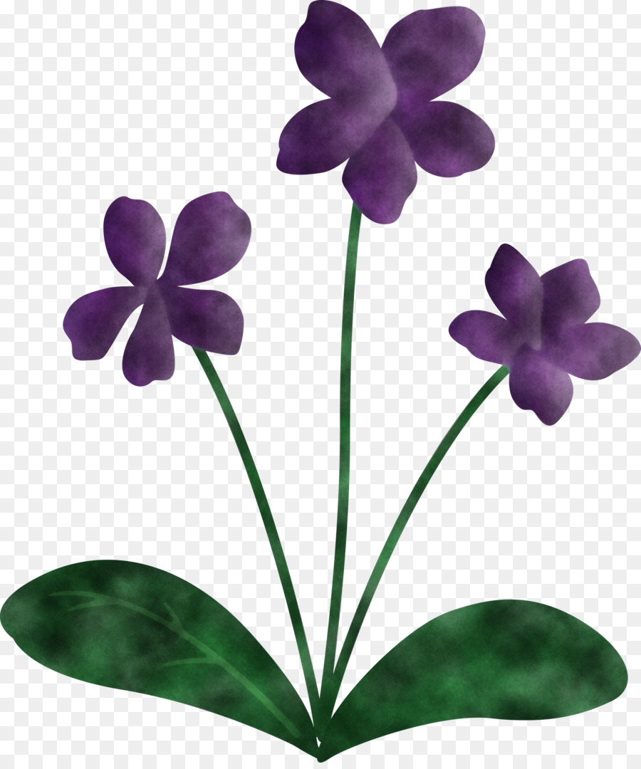 Violeta，Hoja PNG