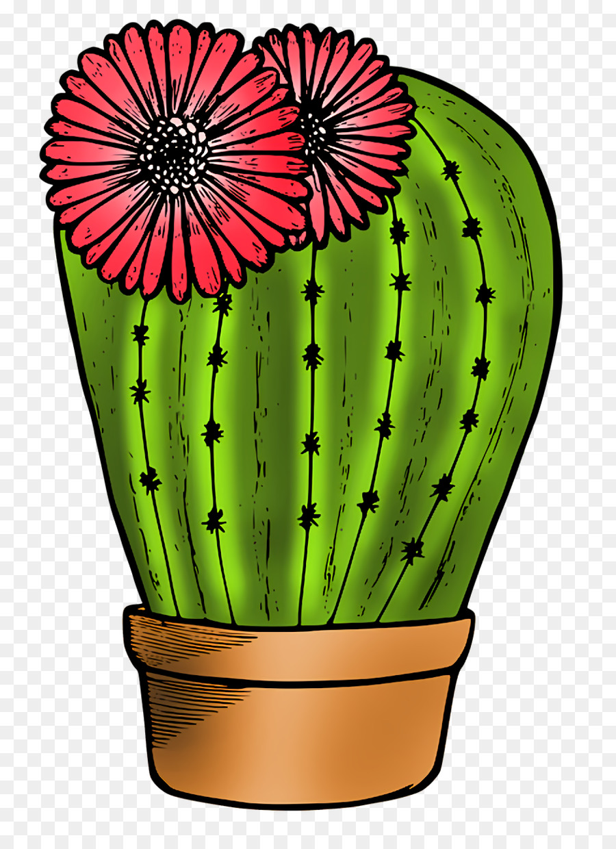 Cactus，Suculento PNG