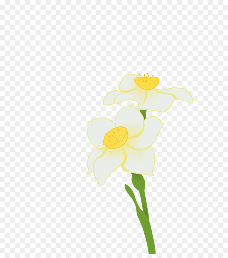 Tallo De La Planta，Diseño Floral PNG