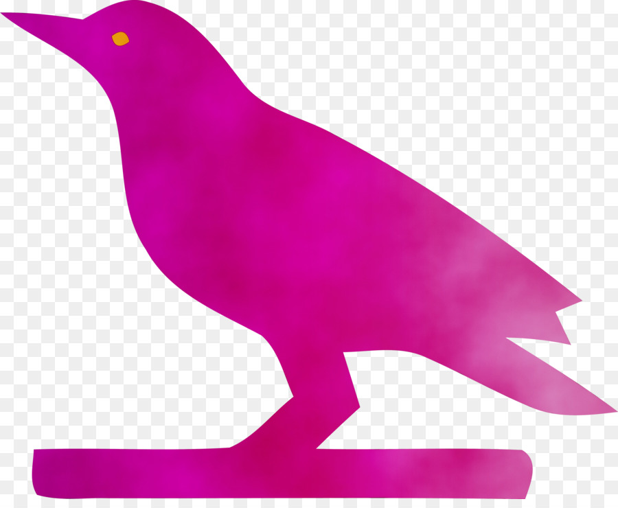 Aves，Pico PNG